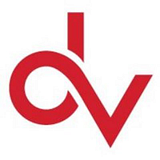 DATAVISION TECHNOLOGIES INC logo