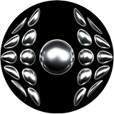 David D. Hawthorne, CPA, PS logo