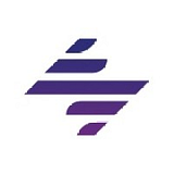 DealerSocket, Inc. logo