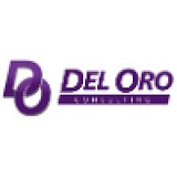 DEL ORO CONSULTING INC logo