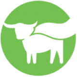 DERRICOS MEAT COMPANY LLC logo
