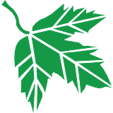 DHALIWAL BROTHERS LLC DBA BB TRAVE logo