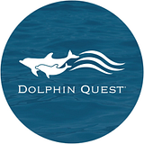 DOLPHIN SOLUTIONS, INC. logo