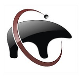 EMR IT SOLUTIONS LLC logo