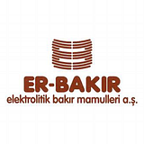 ER Development International, Inc. logo