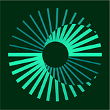 ERM Consulting & Engineering, Inc. logo