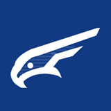 Falkondata LLC logo