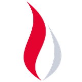 FFE Ltd. logo