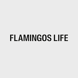 Flamingos Technologies Inc logo