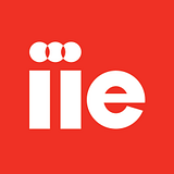 Flourishing International Education LLC logo