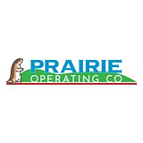 FOAMEX INNOVATIONS OPERATING CO D/ logo