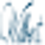 Funeral Services, Inc. logo