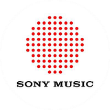 FYE Music Entertainment LLC logo