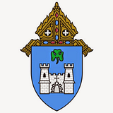 HARMONY SCHOOL OF INNOVATION-FORT WORTH logo
