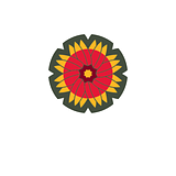 HARMONY SCHOOL OF INNOVATION-GARLAND logo