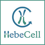 HebeCell Corporation logo