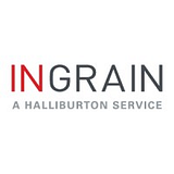 Ingrain Systems Inc logo