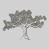 Innove, Inc. (f/k/a Sunless, Inc.) logo