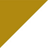 Institute for Molecular Medicine logo