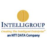 INTELLIGROUP USA LTD logo