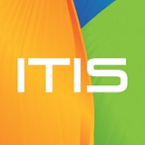 ITIS Pro Group LLC logo