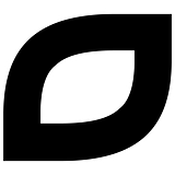 Itransition, Inc. logo