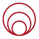 JBS INTERNATIONAL INC logo