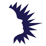 LAREDO INDEPENDENT SCHOOL DISTRICT logo