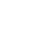 LARES IT SOLUTIONS INC logo