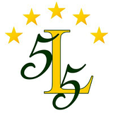 LAURENS SCHOOL DISTRICT 55 logo