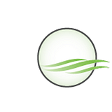 LifeSci Consulting, LLC logo