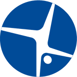 Maritz Consulting Group logo