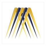 METASENSE, INC. logo