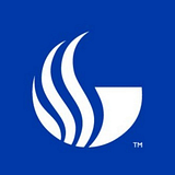 MIDDLE GEORGIA STATE UNIVERSITY logo