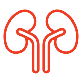 MIDWEST NEPHROLOGY ASSOCIATES S C logo