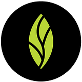 MINT DENTISTRY PLLC logo