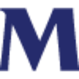 Mizuho Securities USA LLC logo