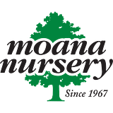 MOANA TECHNOLOGIES LLC logo