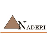 NADERI ENGINEERING INC logo