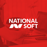 NATIONAL SOFT SYSTEMS INC. logo