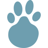 NAVS TECHNOLOGIES LLC logo