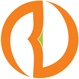 NDVOR SOLUTIONS LLC logo