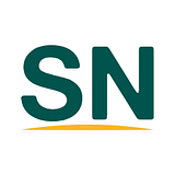 Ness USA, Inc. logo