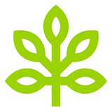 New Leaf Lawn  Landscape LLC logo