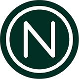 NICHE SOFTWARE SOLUTIONS INC logo
