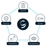 Ninth Wave logo