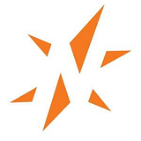 NorthStar Vision, LLC logo