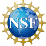 NSF International logo
