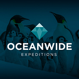 Oceanwide Services Corp dba Oceanwide Home Care logo