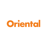 ORIENTAL SOLUTIONS INC logo